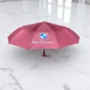 BMW Umbrella Auto Open And Close 12 ribs Meroon