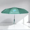 BMW Umbrella Auto Open And Close 12 ribs Green
